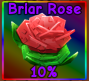 Briar Rose