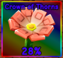 Crown Of Thorns