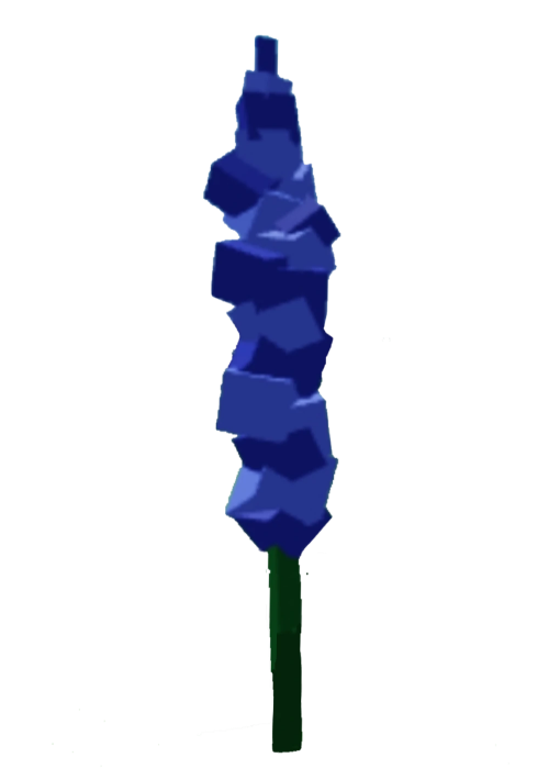 Delphinium