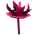 Grand Volcania