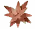 Hinomai