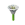 Moonflower