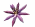 Paradise Petal