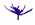 Zenflare